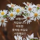 솜씨방 이미지