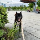 별빛쉼표 이미지