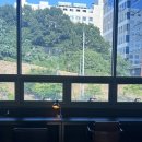 용인. 공부하기 좋은 카페 추천 [더노벰버라운지]