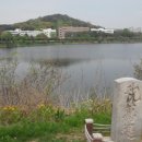 서호공원 이미지
