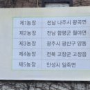 유명덕농장 네이버블로그