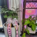 큐사랑염색방 이미지