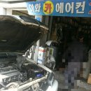 이화카 이미지
