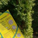 바람아래관광농원 이미지