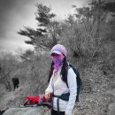 1241 | [밀양,울주] 가지산(1,241m) 산행후기---2024년 1월 17일(수)