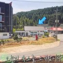 스테이동산항