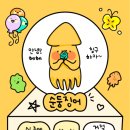 낭만오징어 이미지