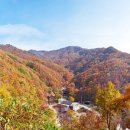 민주지산자연휴양림 이미지
