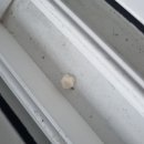 클린업홈케어 이미지