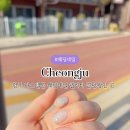 디자인하로아