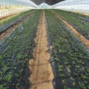 울진유통 이미지