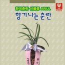 온나인