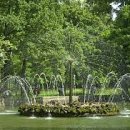 태양이용 이미지