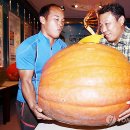 보은연합치과 연합뉴스