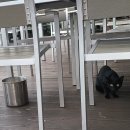 SEA위더스펜션 이미지