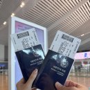 931 | 대한항공 KE 931 인천발 로마행 비행기 탑승 후기