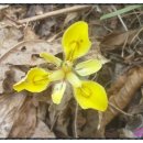 산유화농장 이미지