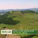 바다보는 민박 이미지