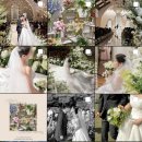 신생화원 | [wedding -3 ] 더테라스웨딩 아이폰스냅 ‘비밀의화원’ 계약 후기 (+짝꿍 구함⭐️)
