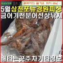 해림낚시 | 26년5월18일(삼천포권) 뉴경원피싱 문어선상낚시 시즌누적 +19~ing/ 선착장위치, 주차, 시설정보.
