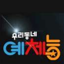 오성태권도 이미지