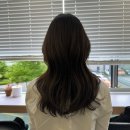 우면삼성프라자-2 | 양재 우면동 미용실 라떼르헤어에서 여자긴머리 힐링스캘프컷 후기