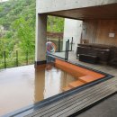 까미노데플로레스타1 이미지