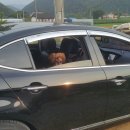콩양