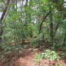 두봉마을경로당 이미지