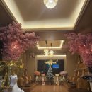 동문한의원 | [제주 동문시장 마사지] 헬스/골프 피로 싹~ 깔끔해서 더 좋은 '아로마여행'