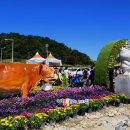 횡성축산물 이미지
