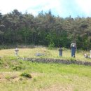 사이박천 이미지