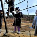 양평양떼목장 이미지