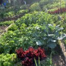 바른이드림치과교정과치과의원 이미지