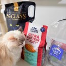 발란스코리아 | 펫푸드 콜라보위크 고양이사료 추천 내추럴발란스 카디날코리아 퍼시캣 지그니쳐 쉐지애 에스클래스펫 쇼핑