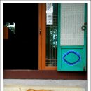 오뉴월개팔자 이미지