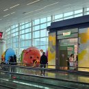 791 | 대한항공 KE791, KE8796 탑승 후기 (기내식,좌석 후쿠오카)