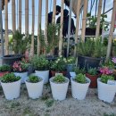 토마스농장 이미지