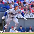 가나월드 이미지