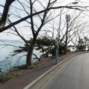 암남공원로 이미지