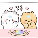 마서방진안흑돼지 이미지