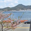 스타벅스통영죽림점 이미지