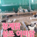 성조농장 이미지