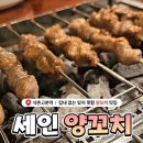 세인양꼬치 | 석촌고분역 인생 양꼬치와 어향가지 발견, 세인양꼬치 후기!