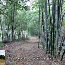 금강 2 태양광발전소 이미지