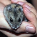 경북의료재단 경북의원 이미지