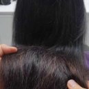 궁달언니 이미지