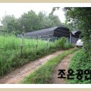 선동목장 이미지