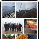 멍게와 묵은지 이미지