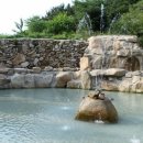 돌꽃펜션
